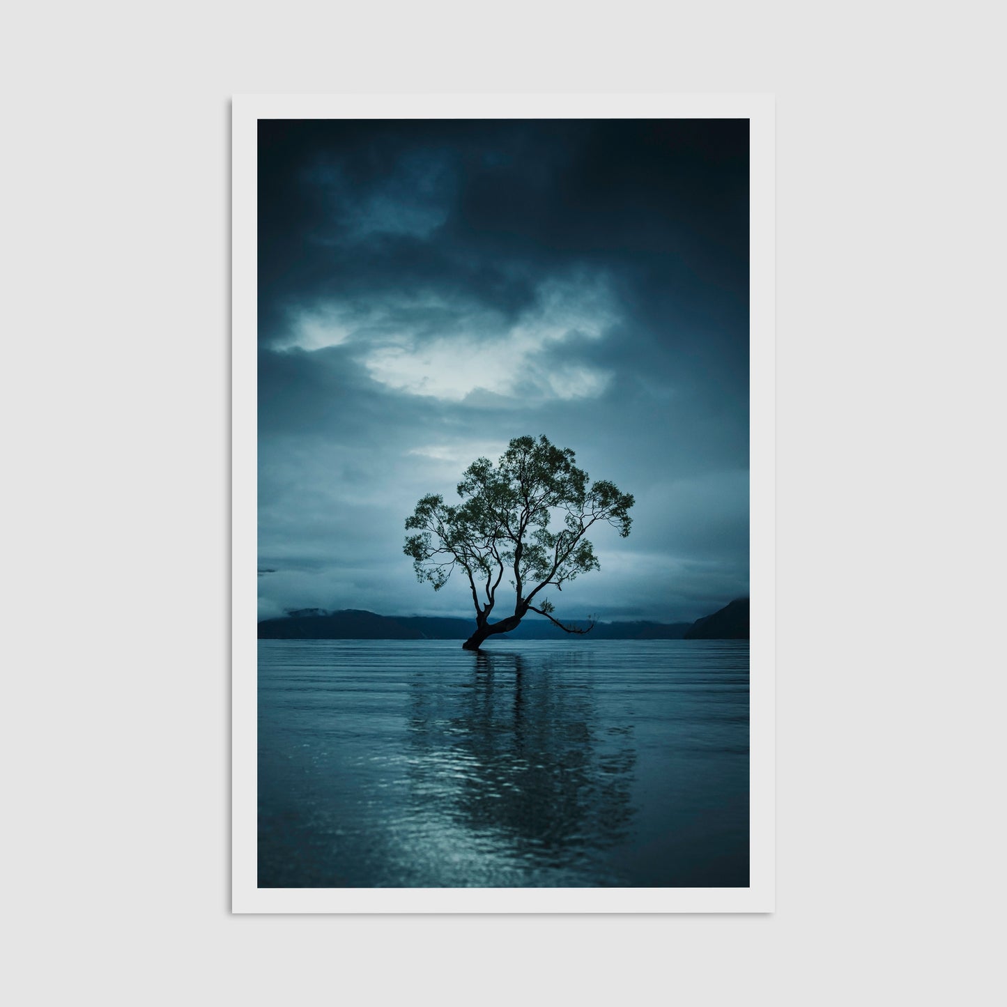 That Wanaka Tree - Framed