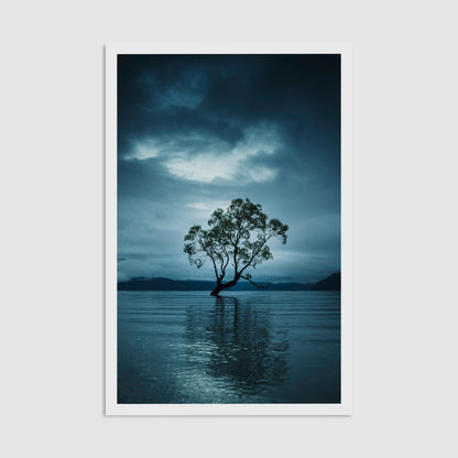 That Wanaka Tree - Framed