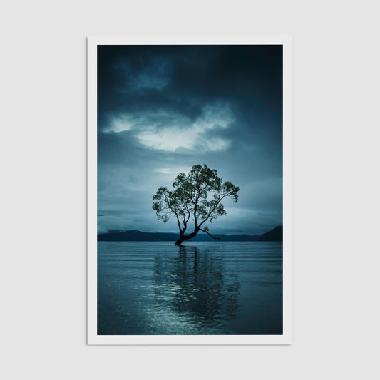 That Wanaka Tree - Framed