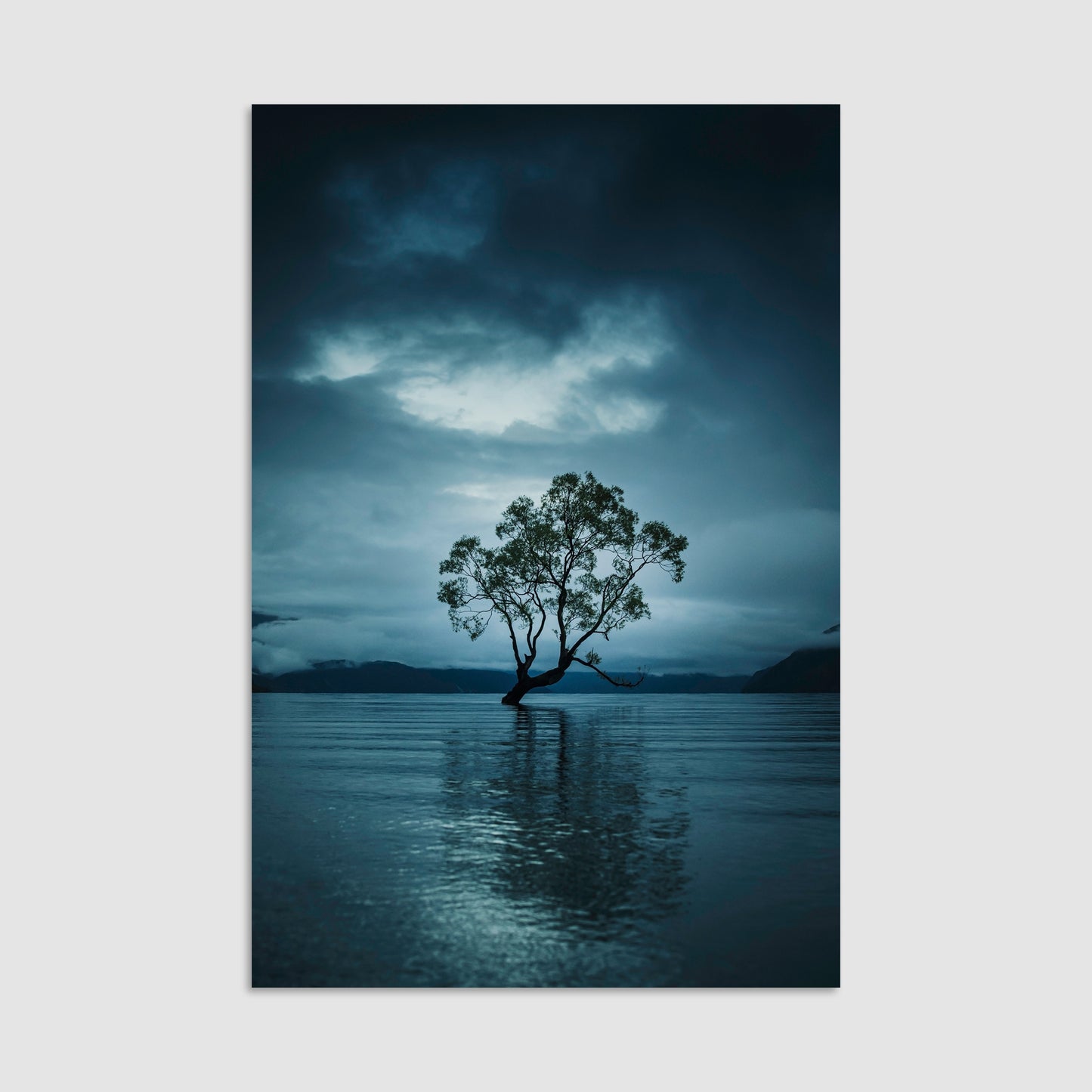 That Wanaka Tree - Print