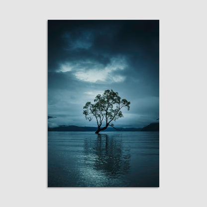 That Wanaka Tree - Print